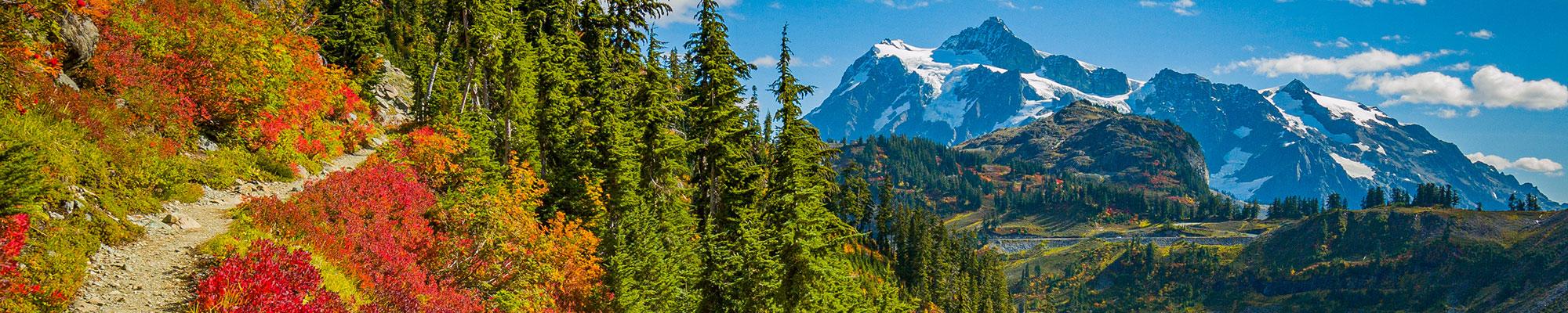 Fall trail with Mt. Rainier in the background